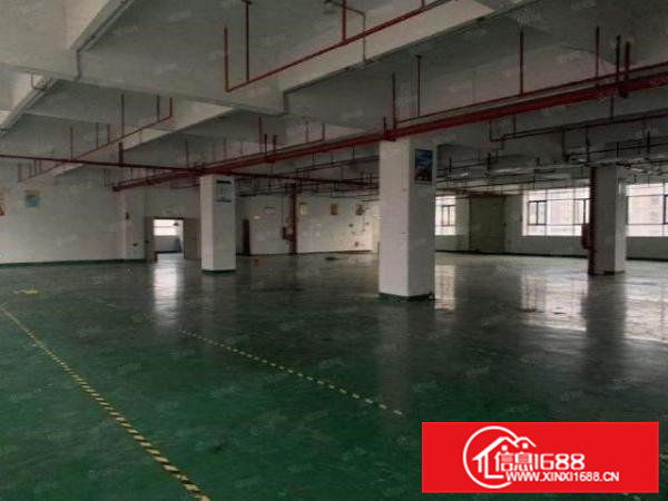 石排沙角原房东楼上带装修1500平方厂房招租