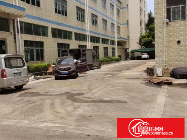 平湖富民新出独院5000平方带装修厂房出租