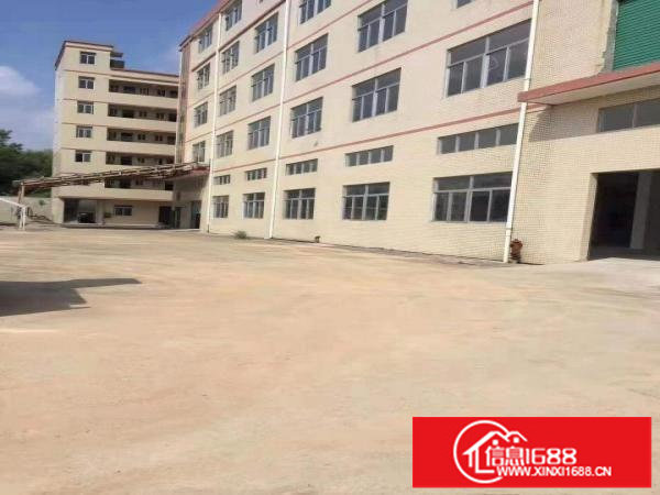 坪山碧岭楼上精装修厂房980平出租，价格好谈