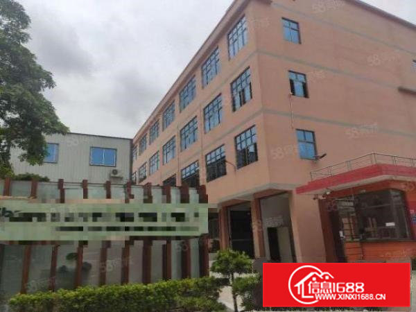 横沥镇原房东新出山厦四海工业区独院独门标准厂房三层4500平