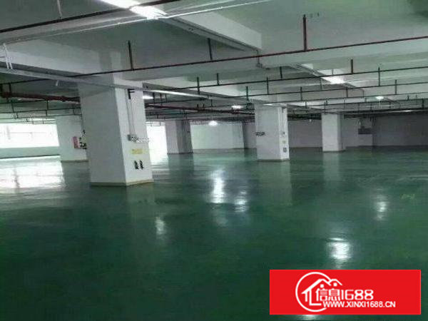 塘厦镇清湖头标准厂房2楼2000平出租，可分租