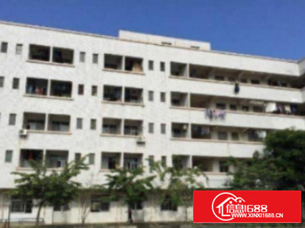 万江标准1800或1000平方出租配套齐全、易招工