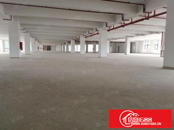 200平方起租布吉工业区整栋厂房出租转租无尘车间出租