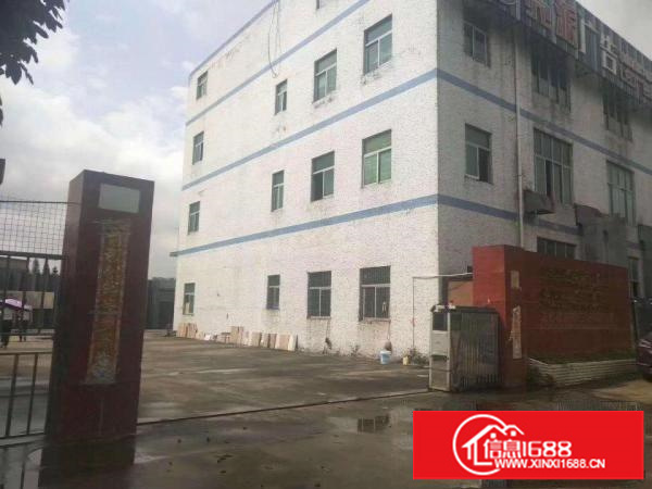 碧岭金碧路边厂房2700平米带前台可分租，办公室精装