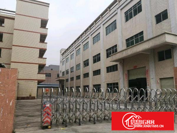 塘厦镇石鼓原房东一楼1300平带牛脚办公室