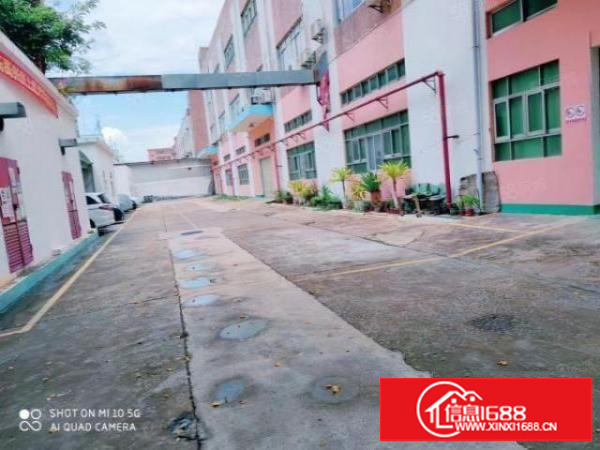 新和新出一楼1000平方