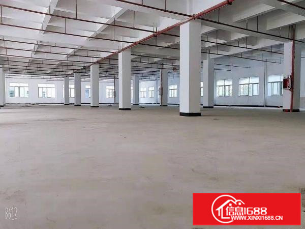 常平木棆工业园厂房出租1000平，独院可环评，空地大停车位多