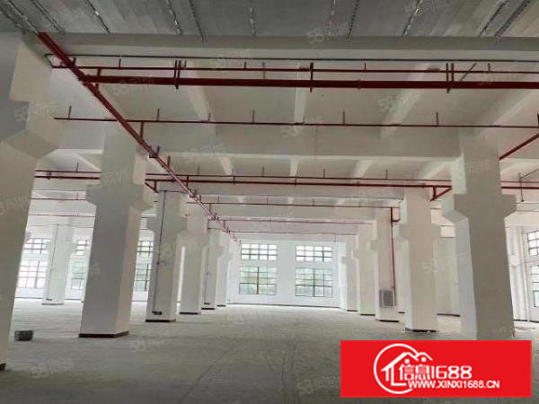 茶山镇工业区全新7层厂房22400平方招租可分租