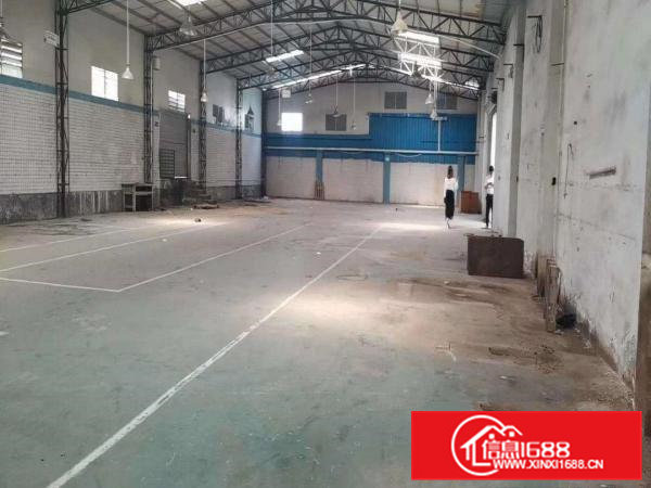 清溪单一层砖墙到顶标准小独院钢构厂房出租1200平水电齐