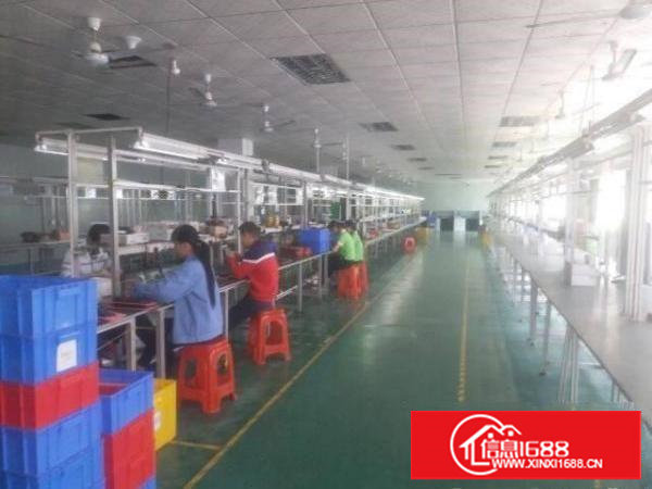 塘厦新出精装修厂房1900平出租，周边环境好易招工