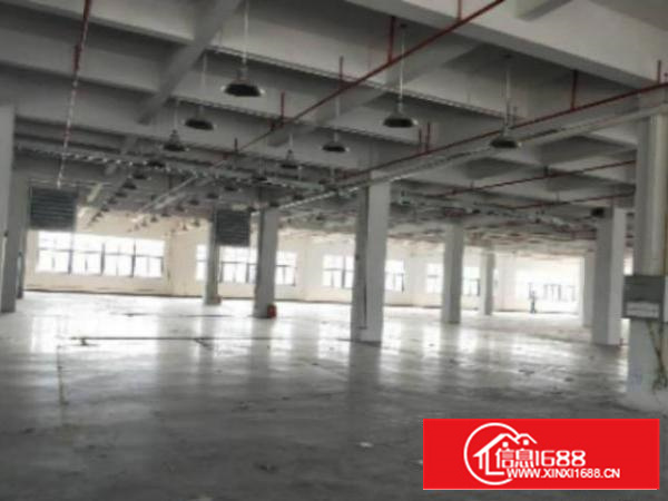 万江工业区标准一楼1000平方出租适合塑胶、五金设备等行业，