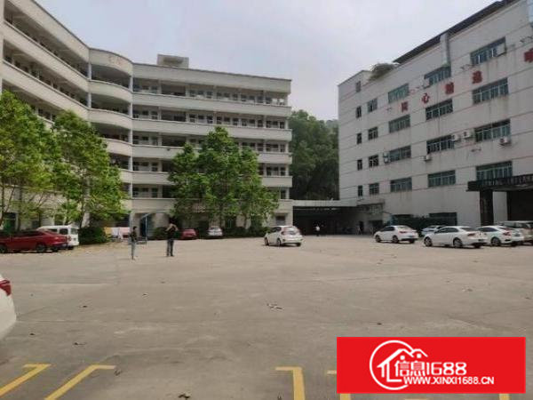 虎门唯一花园式厂房，上市公司，可分租