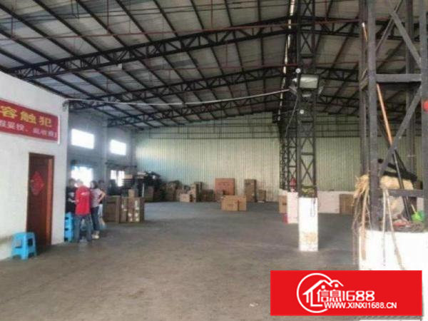 田头新出单一层钢构800平价低出租，无转让费