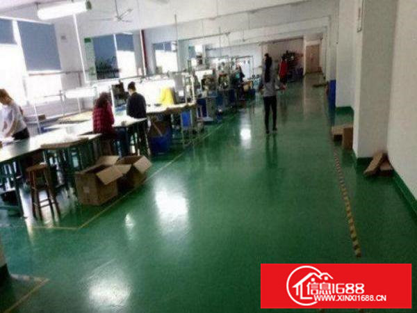 龙岗区龙东出租楼上500平带装修厂房，现成水电办公室