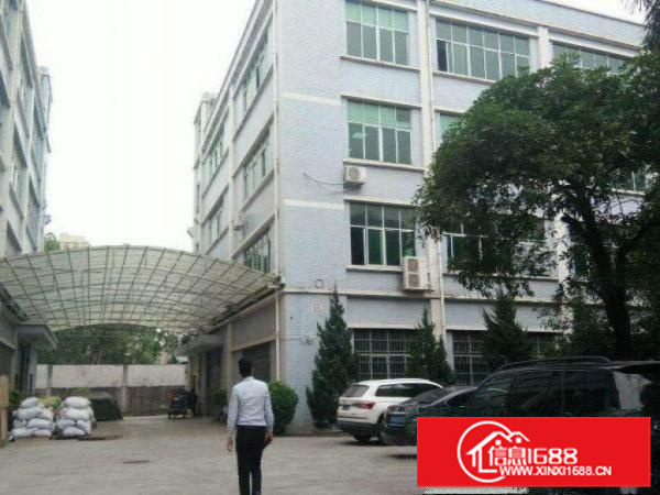 惠阳新墟业主直租楼上800平带现成装修水电