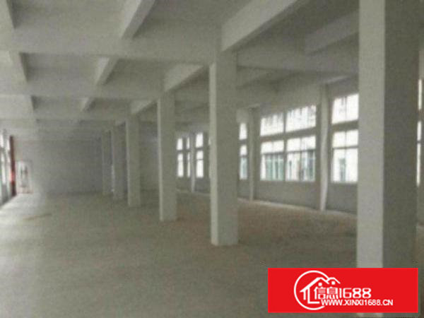 高埗万江标准一楼厂房出租5001500平方出租适合机械、五