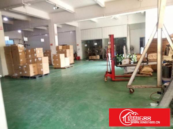 塘厦蛟乙塘，550平方米楼上小厂房，适合：小加工，仓库