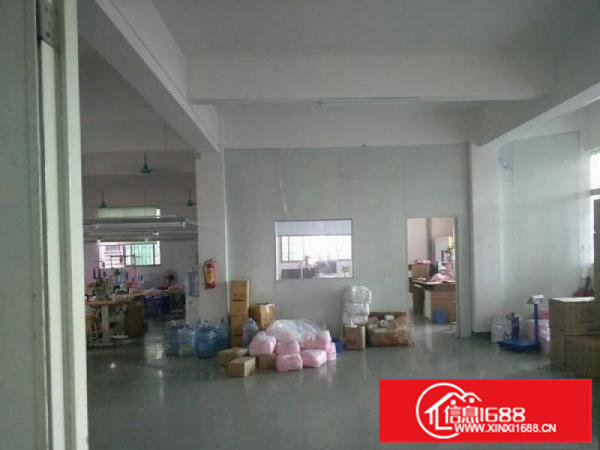 茶山原房东新出独幢三层厂房700平方租7500元