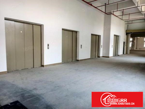 常平红本厂房可申政府补贴高新产业园出租