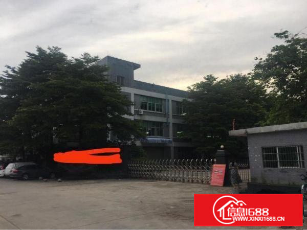 高埗镇低涌村国有证独院标准厂房出租36000平方