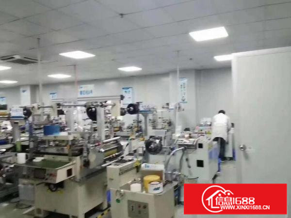 石排工业区内标准独院厂房分租2楼整层1300平方，有电梯