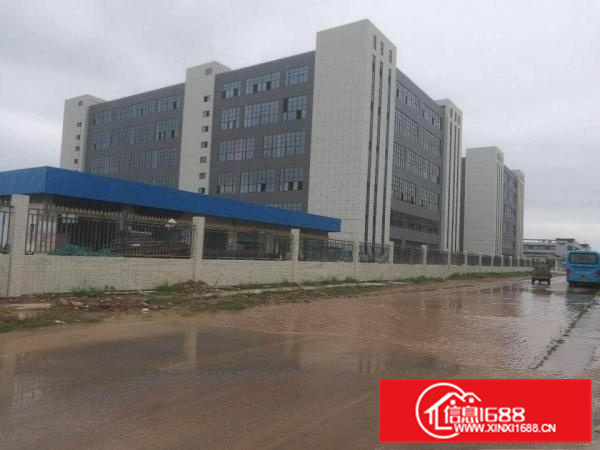 惠州市博罗县高新产业园全新标准厂房出租