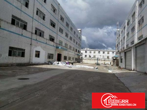 9年合同!空地超大!坑梓秀新原房东5000平独门独院厂房出租