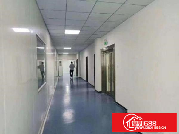 【出租】宝安区松岗塘下涌1800平方全新厂房出租