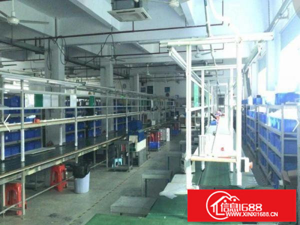 出独门独院1200平米大型厂房出租