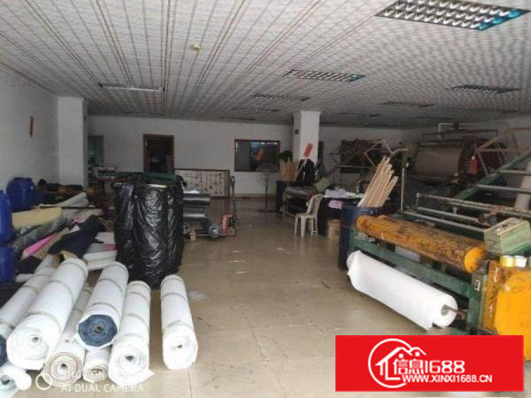 白沙一楼带装修560平方厂房出租，办公室