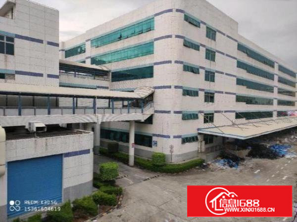 塘头原房东1200平方可以分组