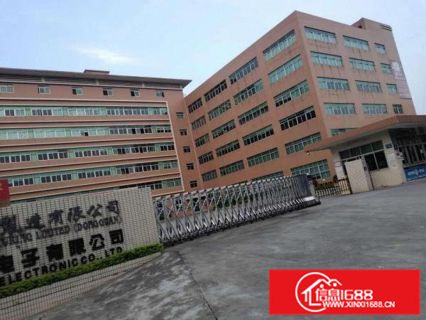 大朗原房东红本双证工业厂房分租一楼3千平方！