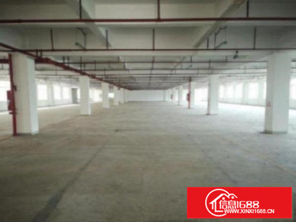 高埗新出独门独院标准厂房8000平方出租带地坪漆