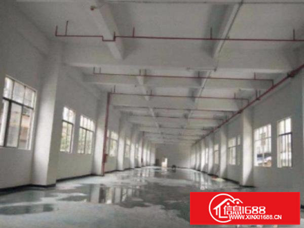 横岗六约标准厂房一楼1000平出租水电齐全形象好