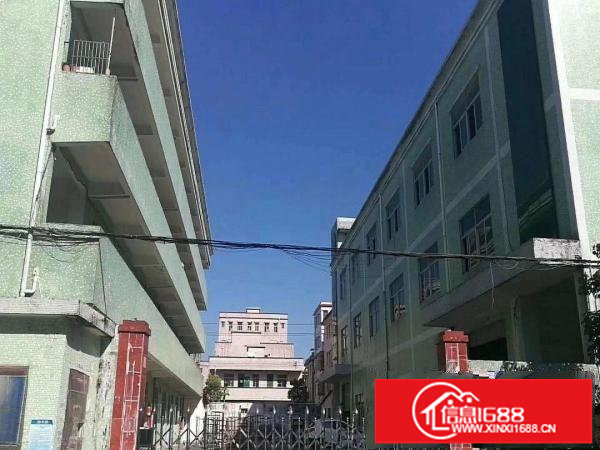 坪山新区比亚迪路旁新出独院厂房3层3900平宿舍1800