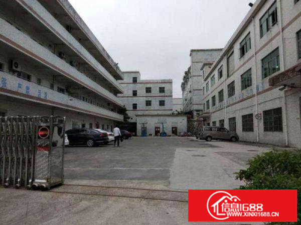 坪山坑梓原房东3楼整层1200带装修出租(可分租）