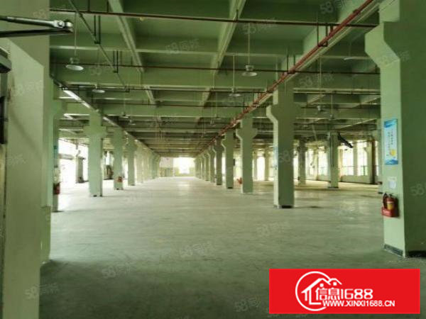 东坑国有证原房东独院厂房出租可分租一楼7米工业用地可办环评