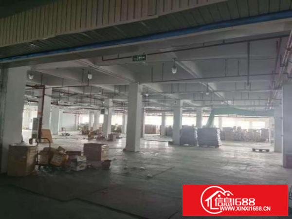 出租龙华区观澜20000平独栋厂房，气质形象佳