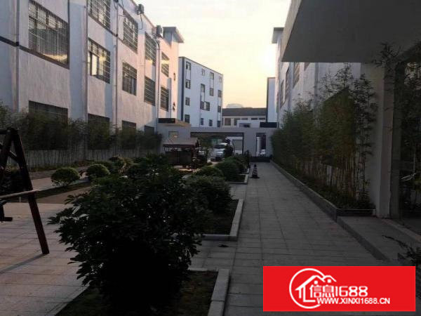 五和光雅电商园80平168平300平500出租