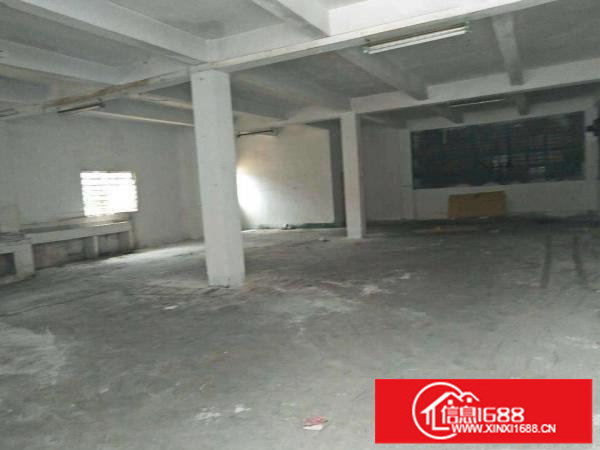 出租龙岗区坪地独院钢构2600平低价出租