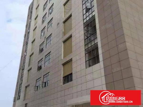 带环评！大岭山镇自用标准环保厂房分租带电梯形象超好位置佳