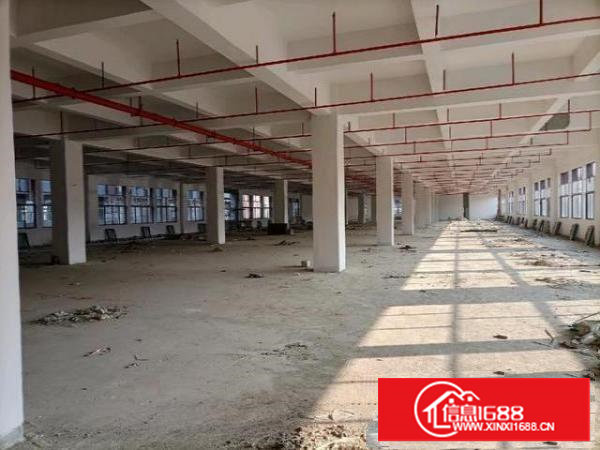 全新厂房12万平方，大小可以分租。