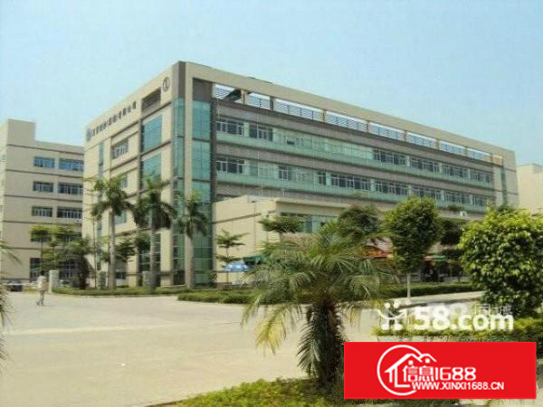 坂田利金城新出3楼4楼每层2200平方刚刚招租