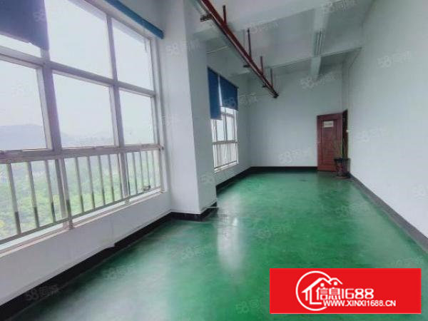 沙井新出标准厂房出租