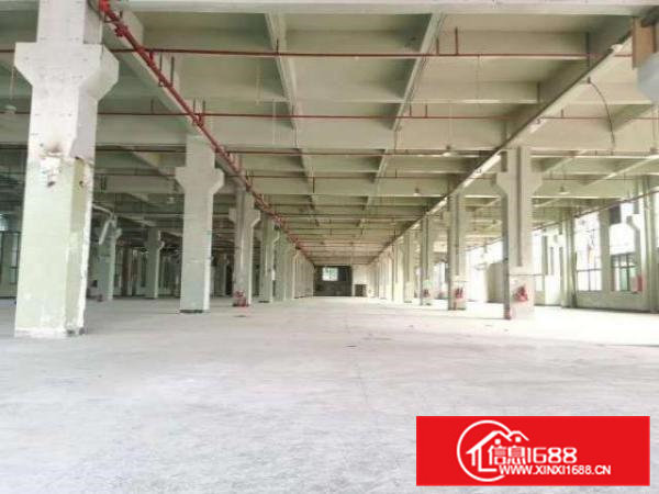 东坑厂房出租工业园区精装厂房水电配套齐全