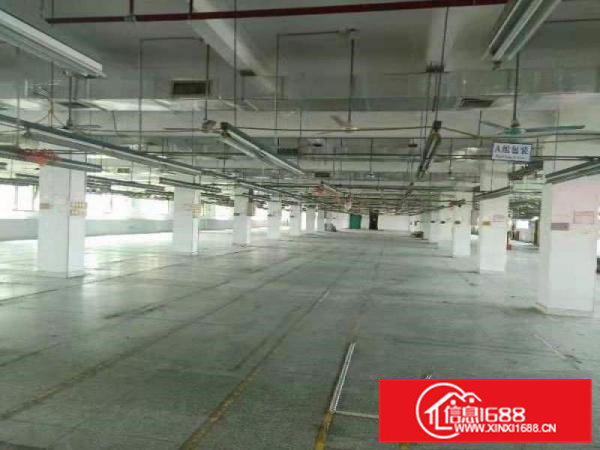 高埗工业区标准一楼3000平方招租水电齐全交通方便适合机械、