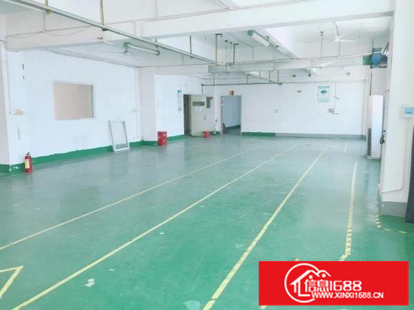 坂田上雪科技园200平300平500平1000平带装修