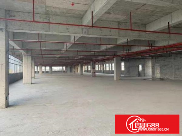 一手房东出租顺德陈村新建厂房24000平方米，有货梯，可分租