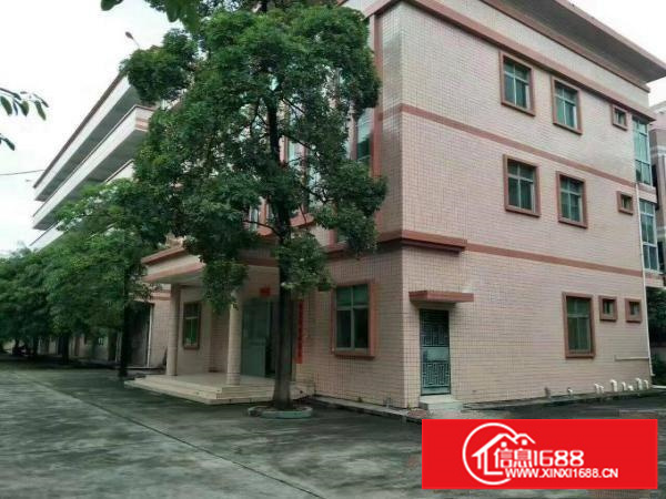 观澜白鸽湖加油站环观南路700平方一楼厂房出租