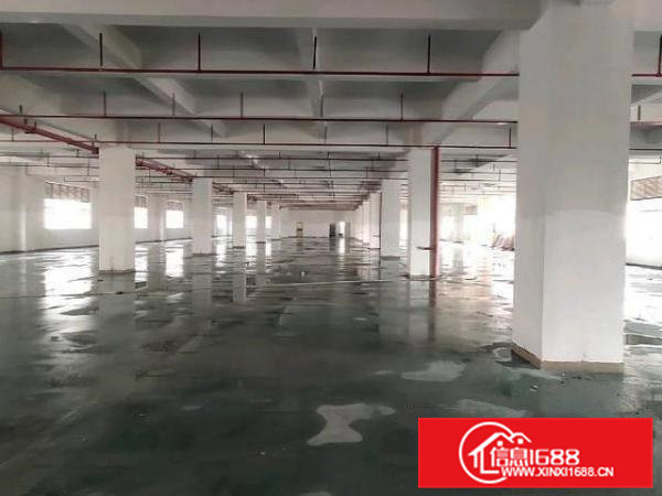 凤岗五联原房东全新独院27600平方厂房出租，可以整层起分租